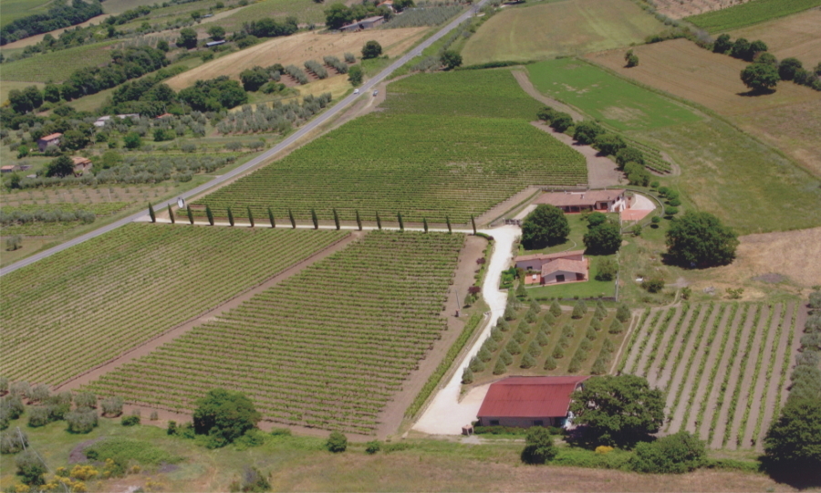 Lezione didattica in vigna